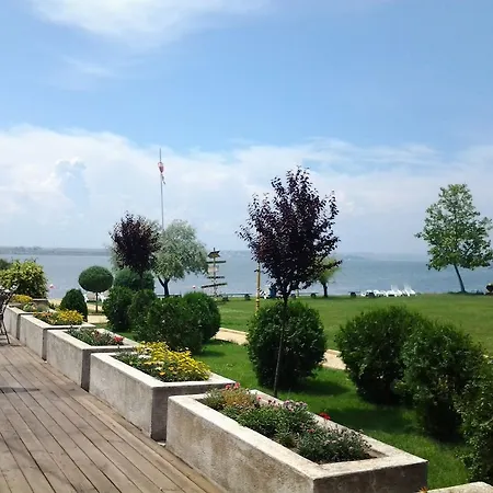 Piccadilly 마마이아