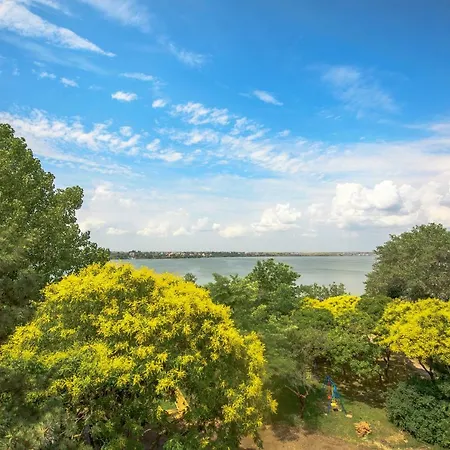 Piccadilly 마마이아